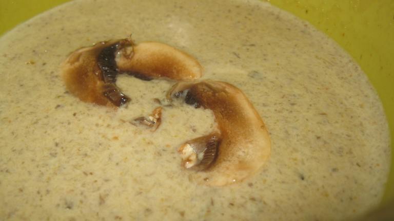 Creamy Mushroom & Roasted Onion Soup created by threeovens