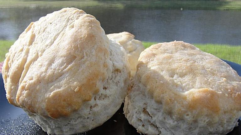 Southern Style Biscuits created by diner524