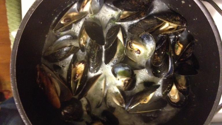 Steamed Mussels With Sauce Aurore created by gregg gourmet