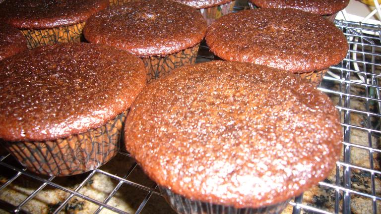 Yummy Chocolate Cupcakes created by Cupcake-Princess