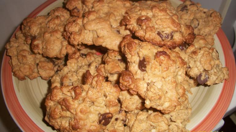 Double Oat Breakfast Cookies created by Homemade Mom