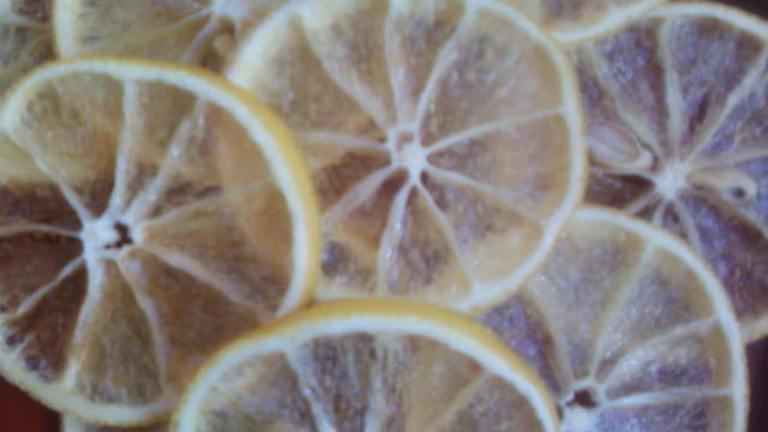 Oven Candied Lemon Slices created by littlemafia