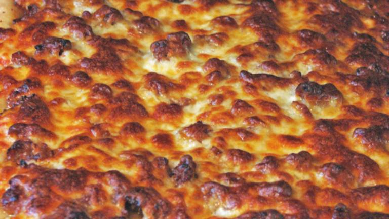 New York-Style Wheat Flour Pizza Crust Recipe Recipe - Food.com