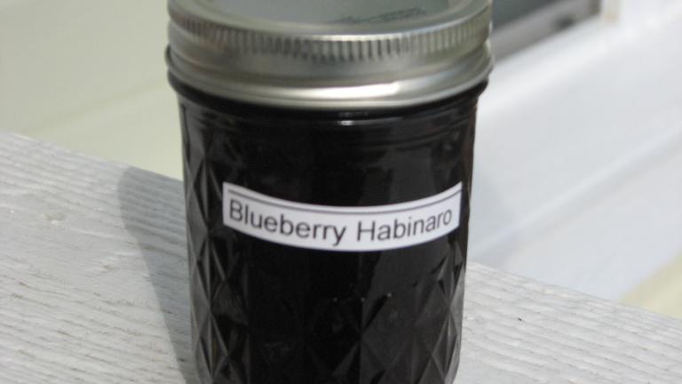 Blueberry Jalapeno Jelly created by Bonnie G 2