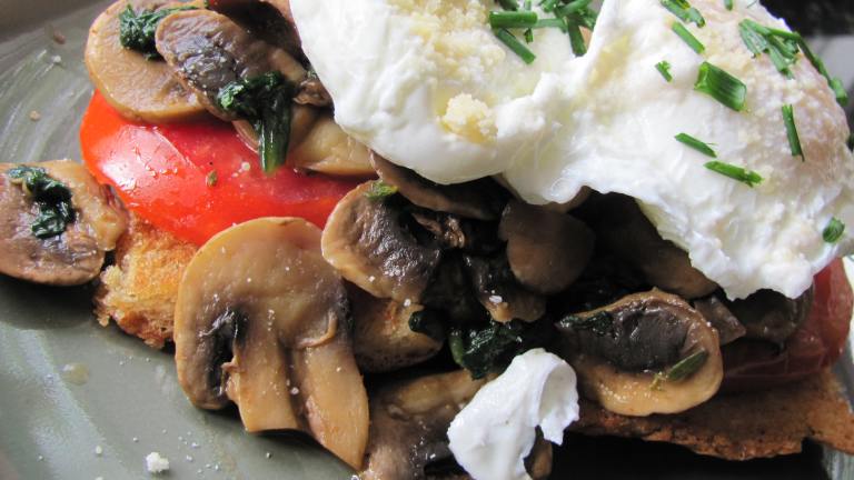 Poached Eggs With Mushrooms and Tomatoes created by januarybride 