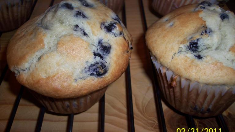Jumbo Large Top Chocolate Chip (Or Blueberry) Muffins created by KinMa