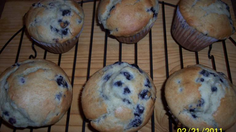 Jumbo Large Top Chocolate Chip (Or Blueberry) Muffins Created by KinMa