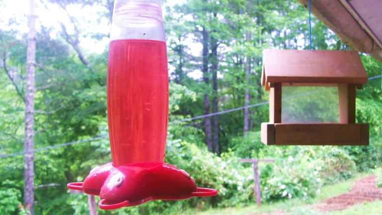 Hummingbird Syrup for Feeders created by Sharon123