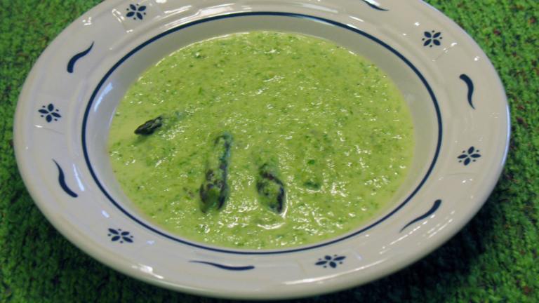 Asparagus Cream Soup created by AcadiaTwo