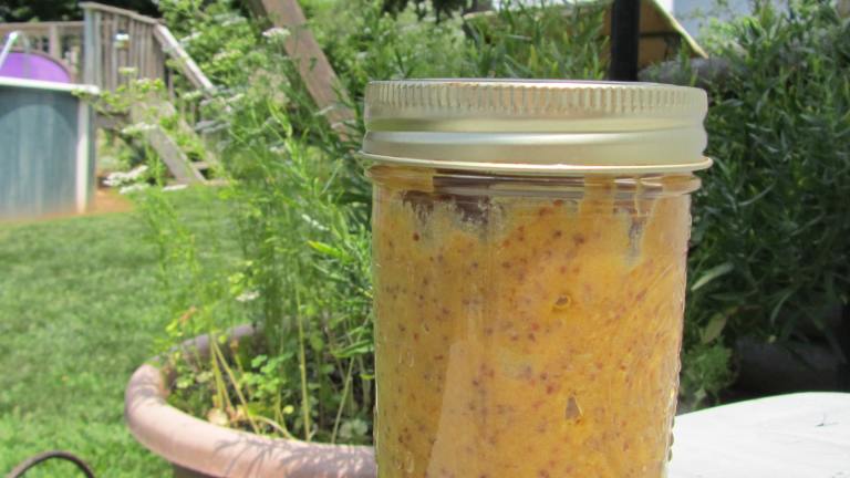 Tarragon and Champagne Mustard created by Rita1652