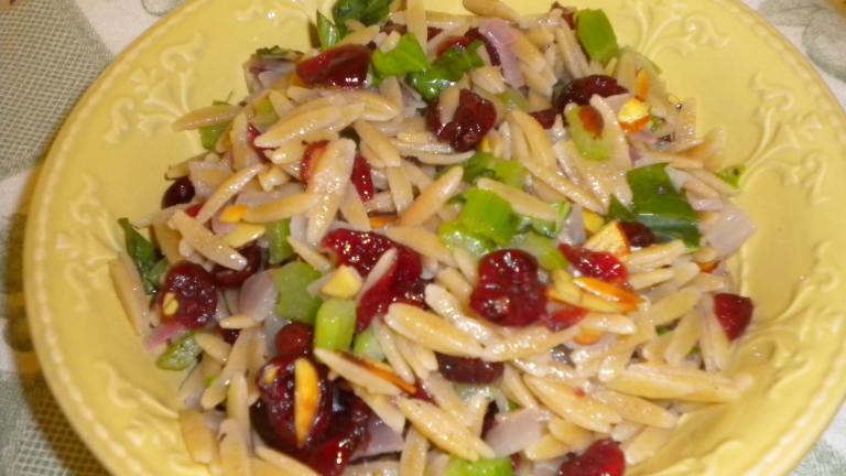 Orzo With Celery, Cranberries and Pecans Created by CSR16618