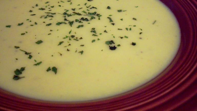Spicy Summer Squash Soup Created by Parsley