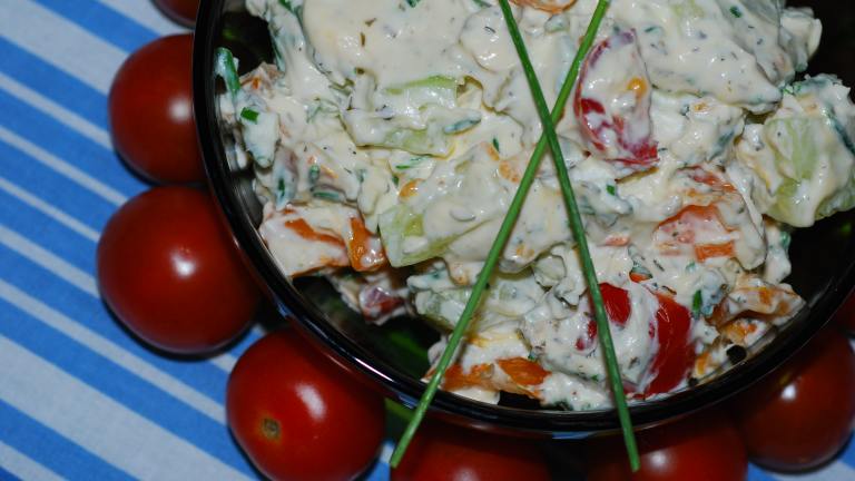 Creamy Goat Cheese Chives Dip Created by Katzen
