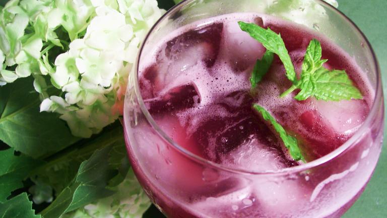 Blueberry Lemonade With Lemon Verbena and Ginger created by Sharon123