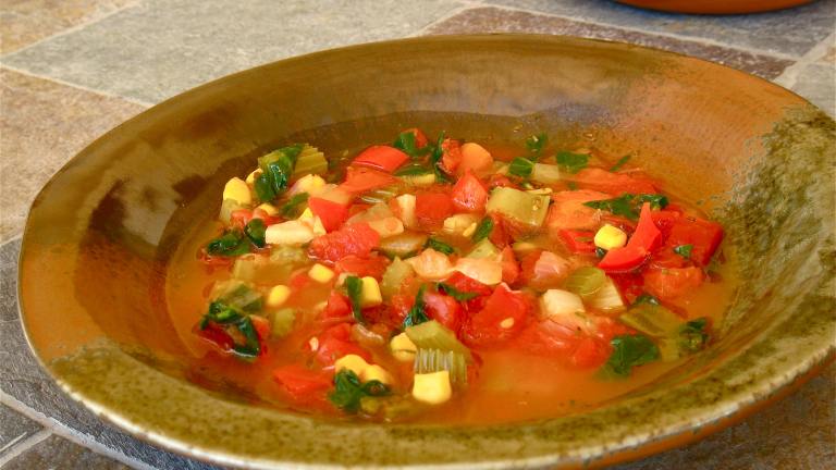 Italian Harvest Vegetable Soup Created by WiGal