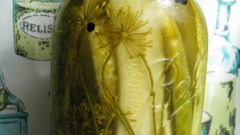 Classic Dill Pickles (Refrigerator) created by flower7