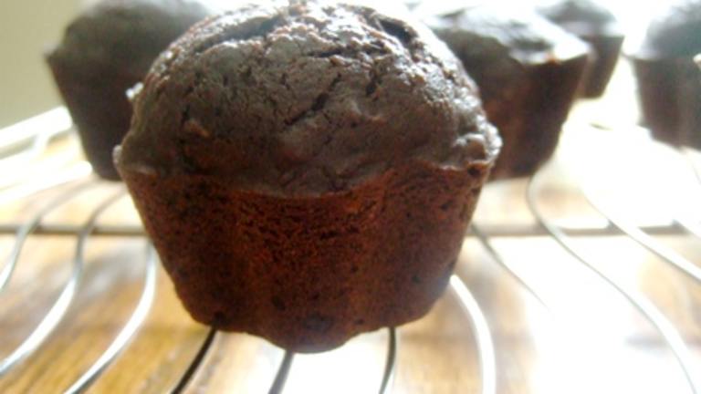 No Fat Chocolate Zucchini Muffins Created by HokiesMom