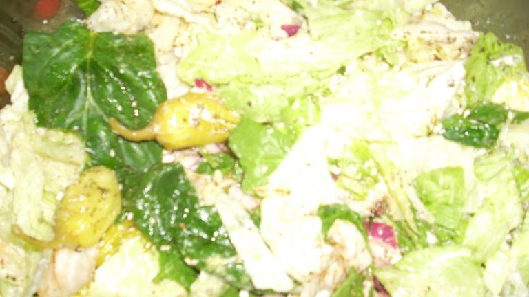 Copy Cat Greek Salad from the Corner Greek Deli created by Ronbiz