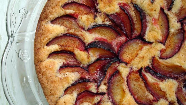 Fresh Plum Cake Created by spicyperspective