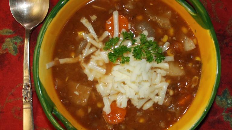 Hearty Vegetable Soup created by Nan R.