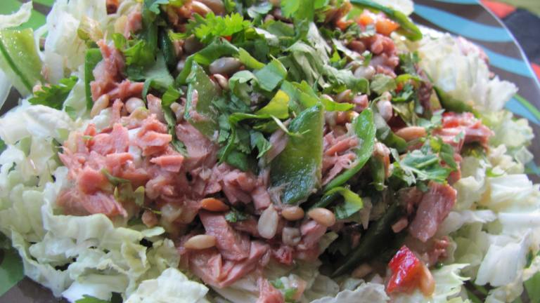 Sesame Tuna Salad Created by januarybride 