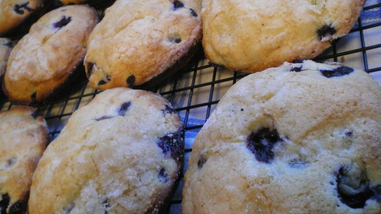 Jordan Marsh Famous Blueberry Muffins Created by dojemi
