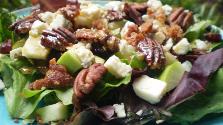 Apple Gorgonzola Salad With Balsamic Vinaigrette created by breezermom
