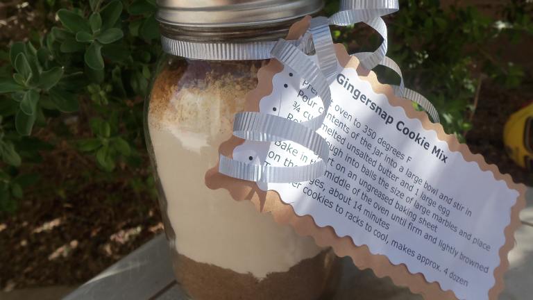 Gingersnap Mix in a Jar Created by AZPARZYCH