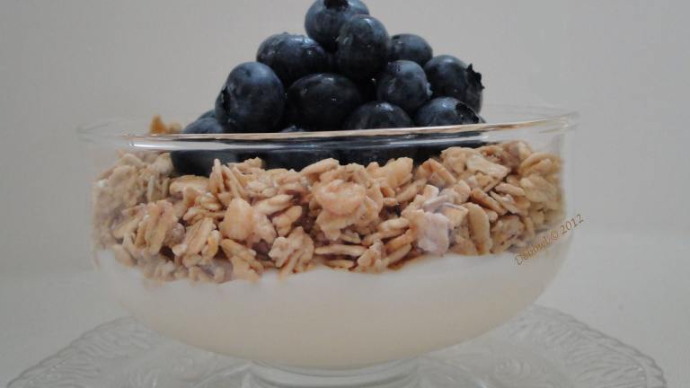 Blueberry Granola Yogurt Created by Debbwl