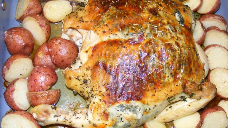 Chicken Rockefeller Recipe - Food.com