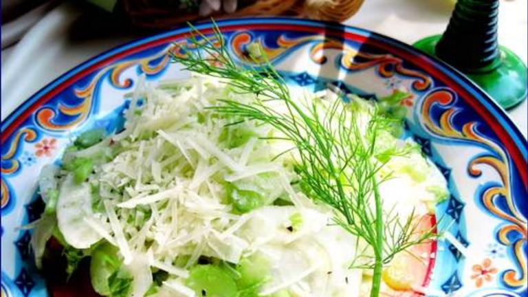 Fennel and Celery Salad created by Annacia