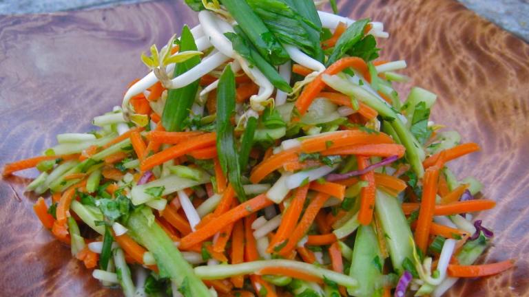 Vegan Carrot Broccoli and Bean Shoot Salad created by The Blender Girl
