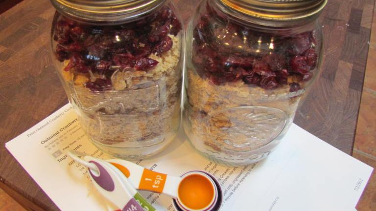 Oatmeal Cranberry Cookie Mix created by BakinBaby