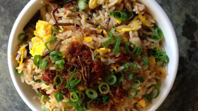 Mealworm Fried Rice created by Jacob K.
