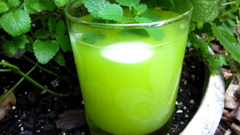 Tipsy Turtle created by gailanng