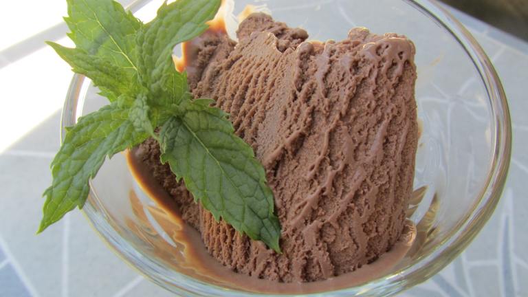Chocolate Mint Ice Cream Created by Rita1652