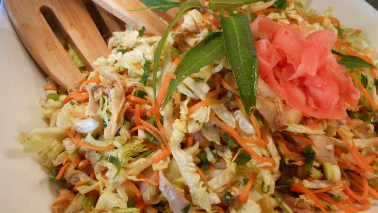 Thai-Style Chicken Coleslaw Created by JustJanS