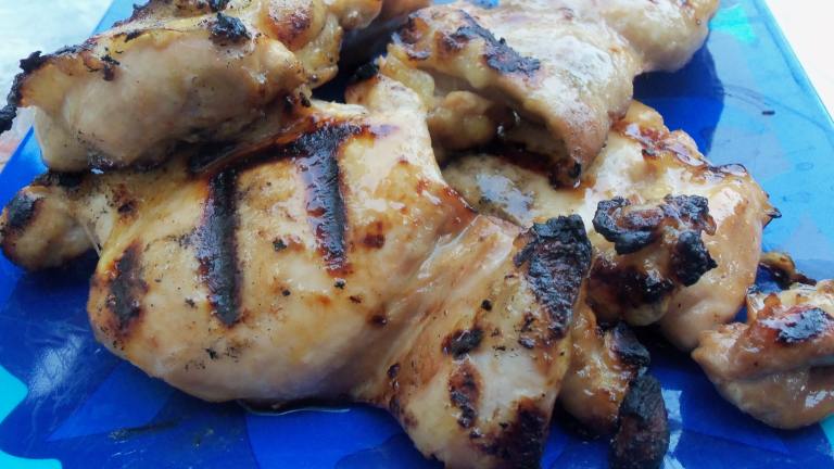 Simple Chicken or Turkey Marinade created by AZPARZYCH