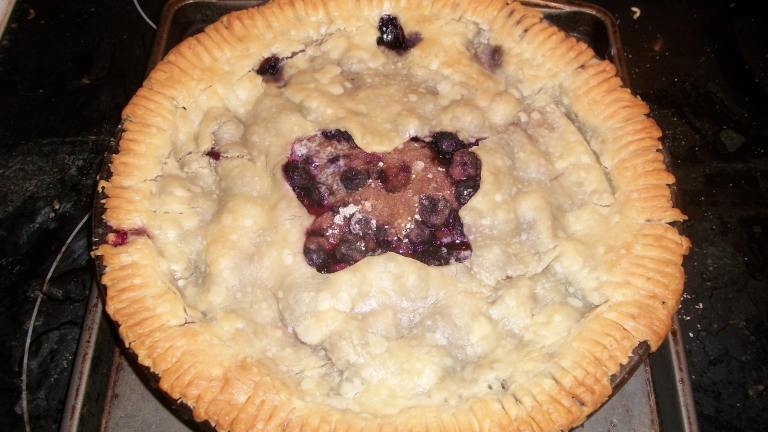 Best Blueberry Pie Created by ElizabethKnicely