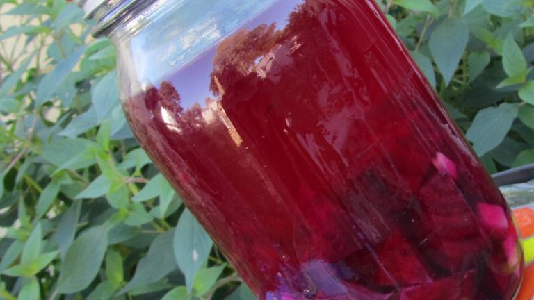 Beet and Ginger Kvass Treat Your Liver Good! Created by Rita1652