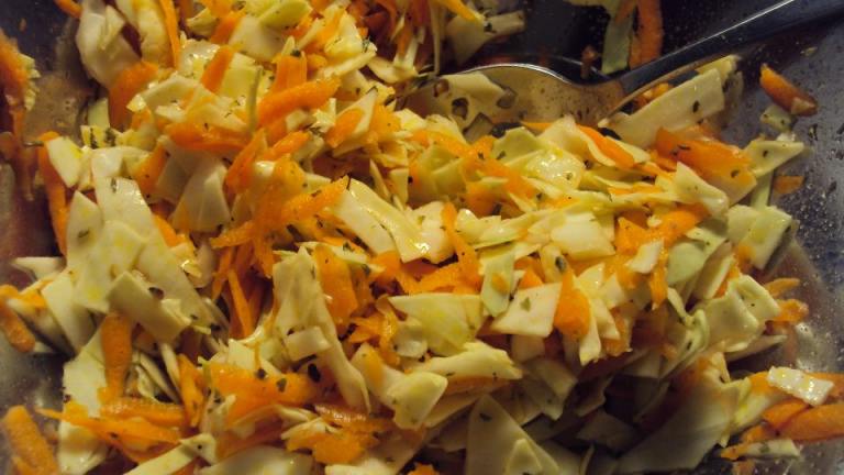 Cabbage and Carrot Salsa created by dicentra
