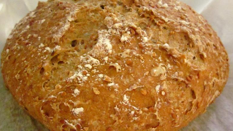 Whole Wheat No-Knead Bread With Flax Seeds and Oats Created by gailanng