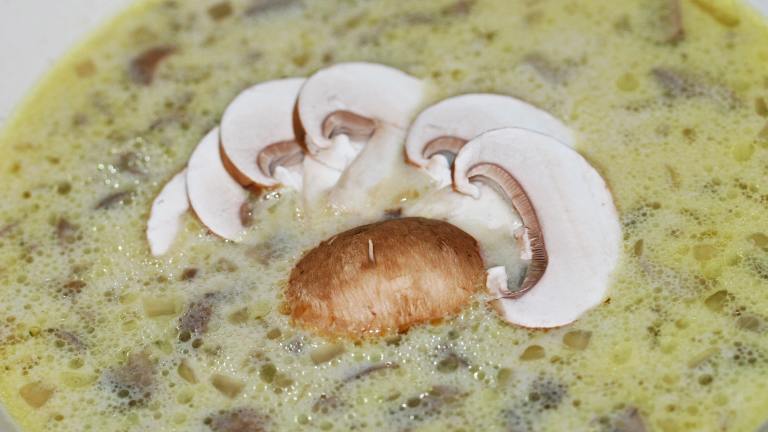 Bella & Wild Mushroom Soup Created by sloe cooker