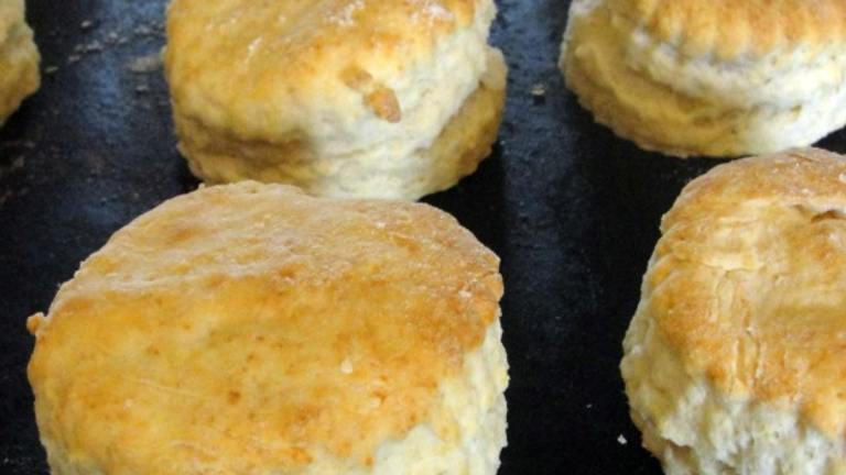 Real Buttermilk Biscuits Without the Buttermilk  OAMC created by diner524