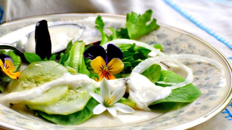 Creamy Fresh Herb Salad Dressing created by Andi Longmeadow Farm