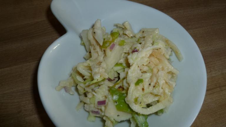 Apple Cabbage Slaw Created by Ambervim