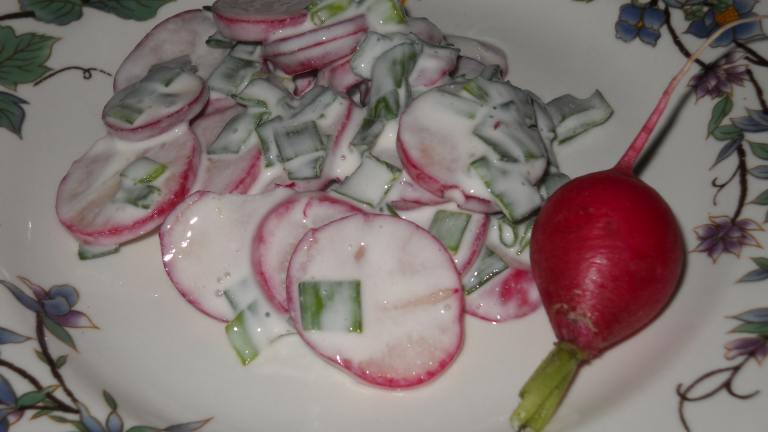Radish & Scallion Salad Created by Midwest Maven