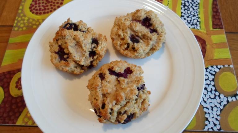 Blueberry Oatbran Muffins Created by Kiwi Kathy