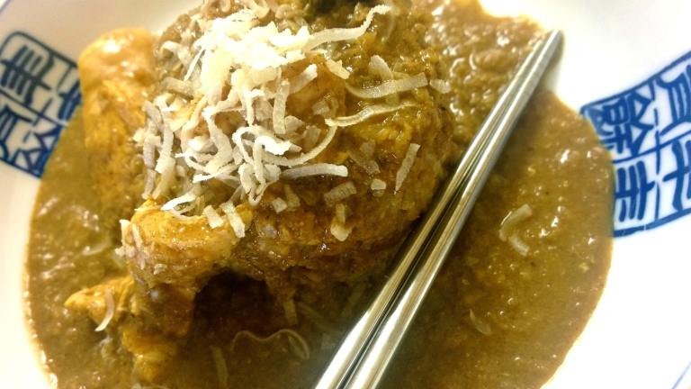 Thai-Indonesian Rendang Curry created by FLKeysJen