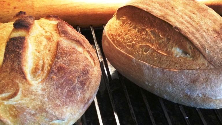Saturday Sourdough Bread Created by Red_Apple_Guy